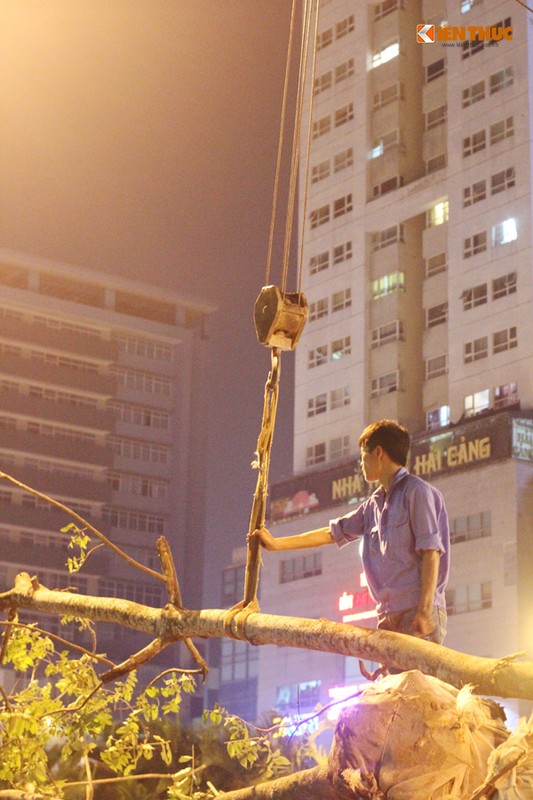 Hà Nọi tròng lại cay xanh trong dem tren duong Nguyen Chi Thanh-Hinh-2